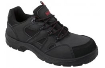 Trainers` Trainers`