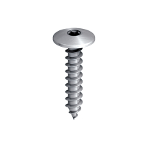 Ejot 4.9x25 Low Profile Timber Screws (Box 100) Ejot 4.9x25 Low Profile Timber Screws (Box 100)